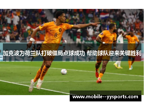 加克波为荷兰队打破僵局点球成功 帮助球队迎来关键胜利 加克波为荷兰队打破僵局点球成功 帮助球队迎来关键胜利