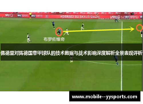 佩德里对阵德国意甲球队的技术数据与战术影响深度解析全景表现评析